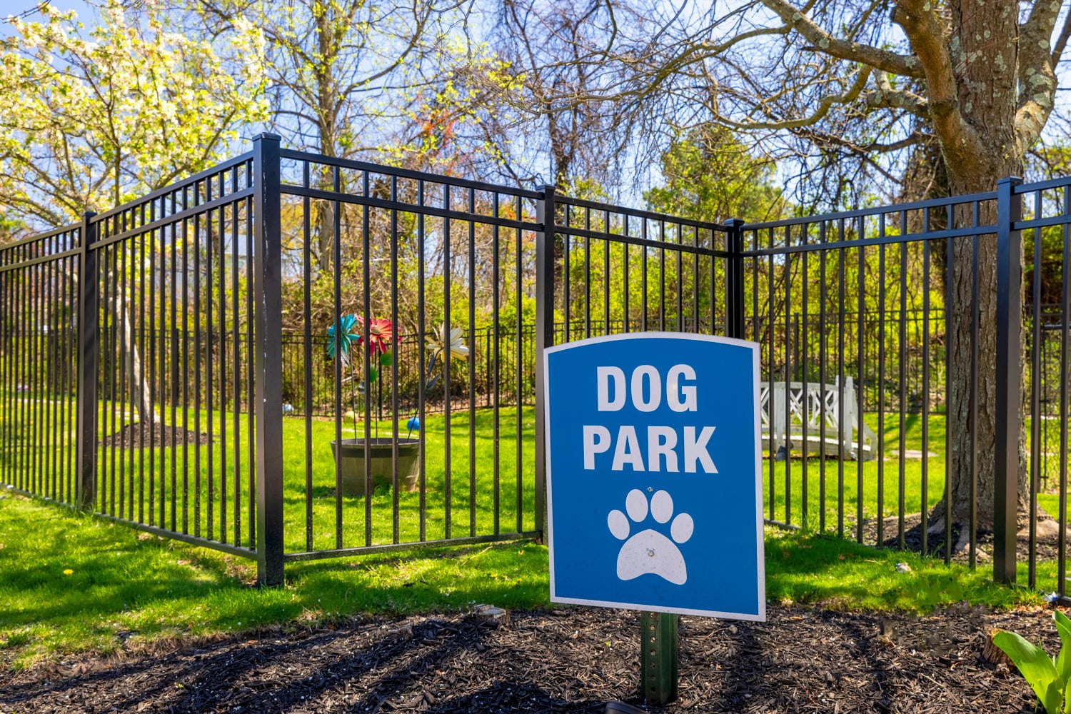 Dog Park