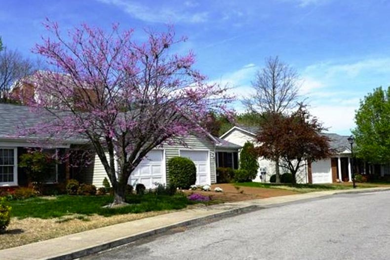 A residential street in The Cloister at St. Henry, a 55+ community near Nashville.