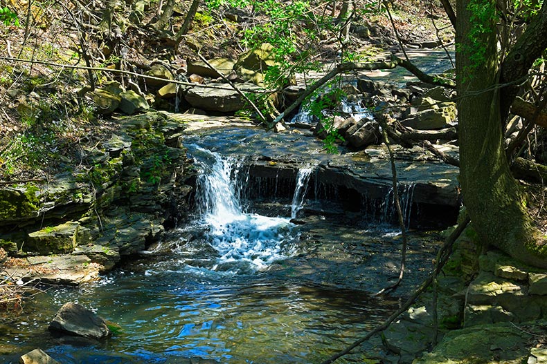Wolf Creek in the Hackensack Meadowlands in Bergen County in New Jersey.