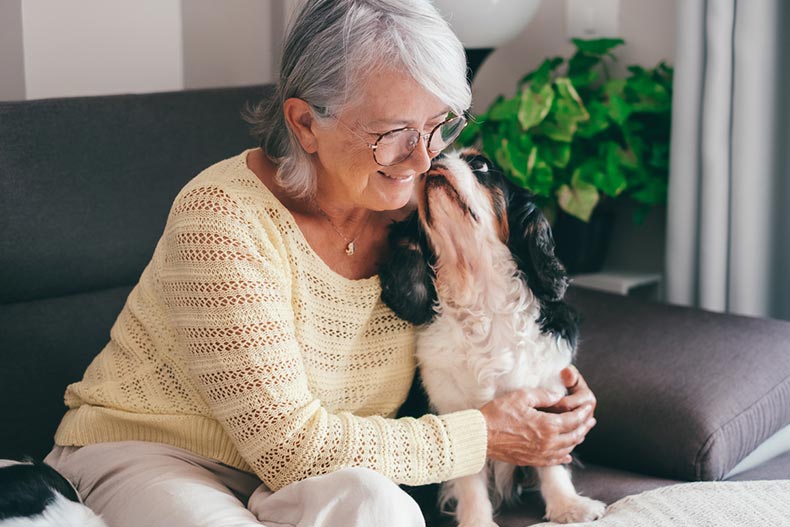 A retired woman fosters a dog as a favorite hobby.
