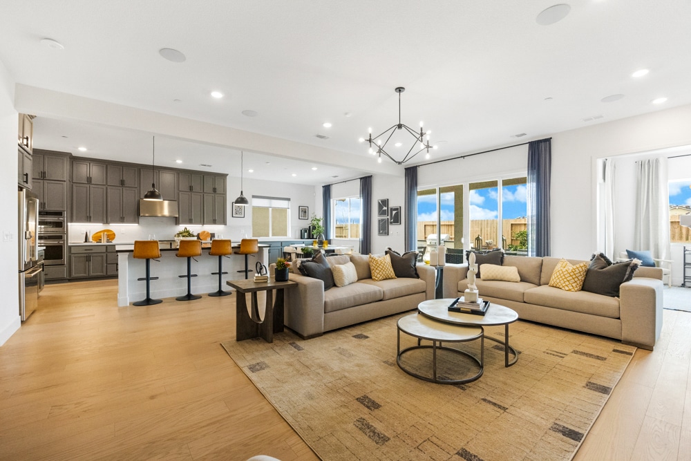 Living Area and Kitchen