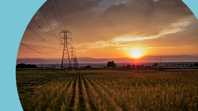 A sunset in Fort Lupton, Colorado in a field of corn.