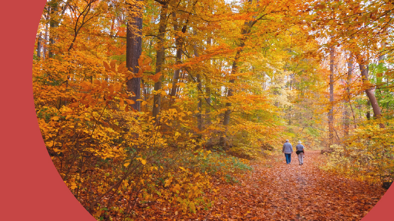 A path through the autumn trees in Huntingdon Valley, PA.