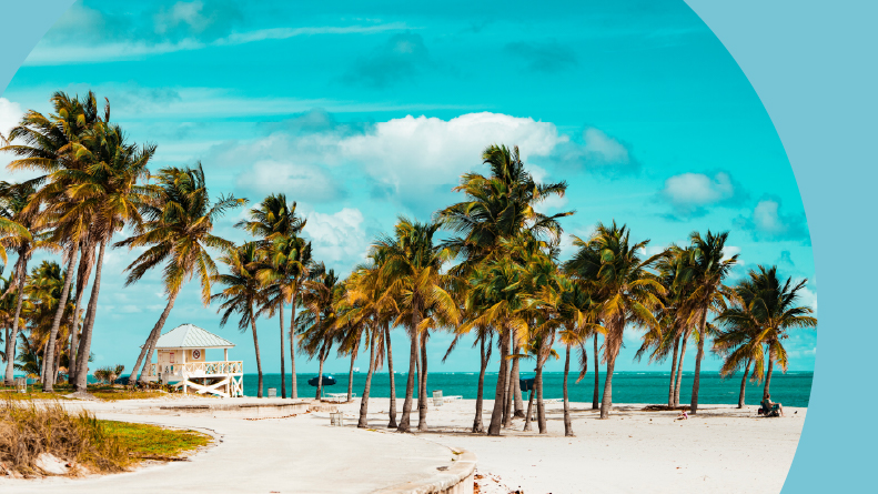 Palm trees on the beach of Key Biscayne, Florida.