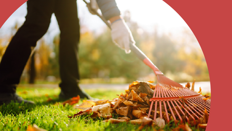 A 55+ homeowner raking leaves in the yard in the autumn.