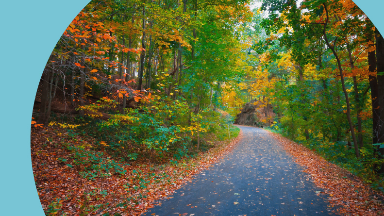 The Pennypack Trail winds its way underneath a canopy of fall leaves in Pennsylvania.