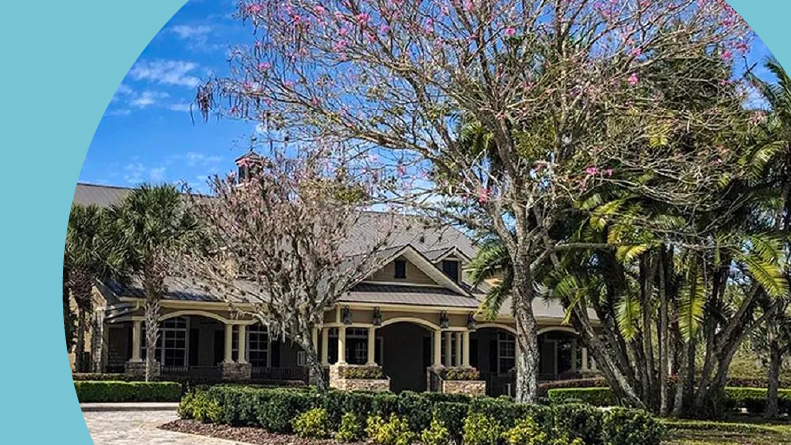Trees outside the clubhouse at Sullivan Ranch in Mount Dora, Florida.