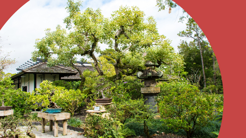 The gardens at the Morikami Museum and Japanese Gardens in Delray Beach, Florida.