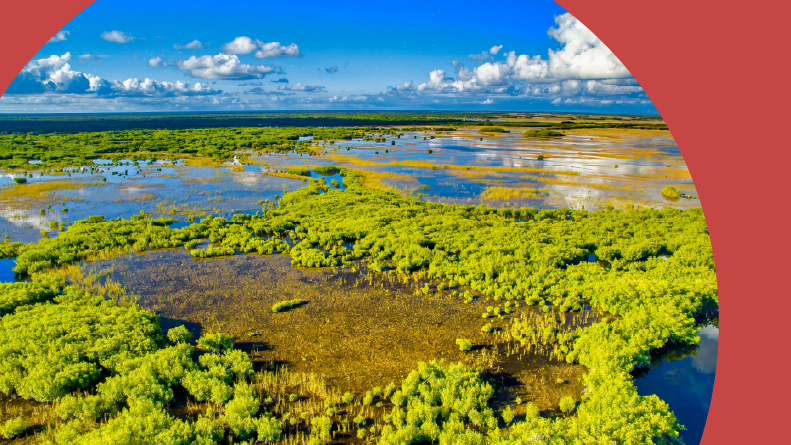 Aerial view at sunset of Everglades National Park in Florida.
