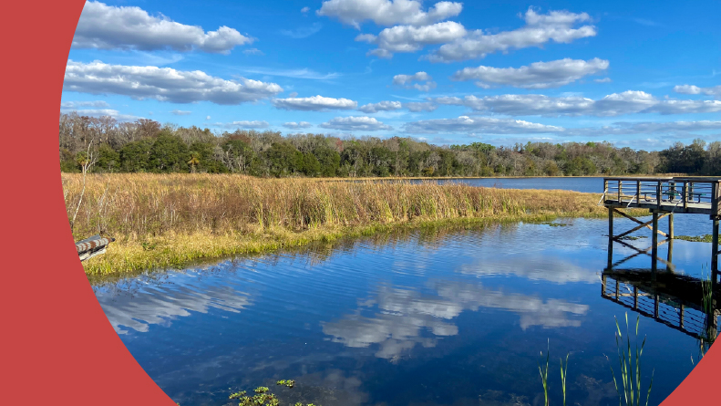 A dock on a lake in Inverness, Florida.