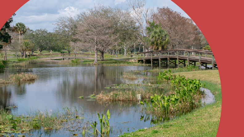 An outdoor park in February in Leesburg, Florida.