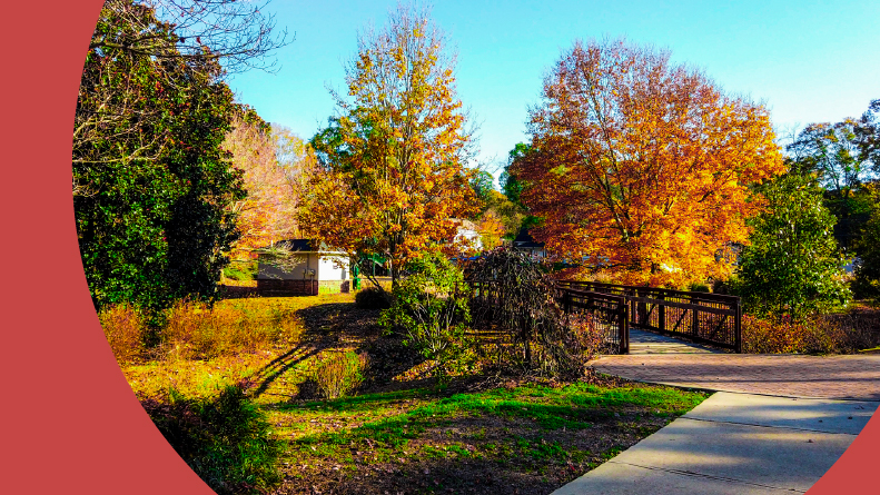 A fall morning in a city park in Newnan, Georgia.