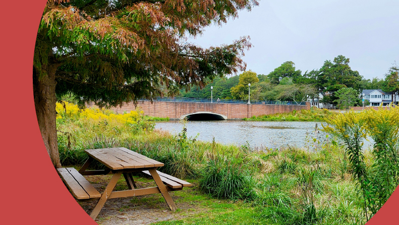 A picnic table at Lake Gerar Park in Rehoboth Beach, Delaware.