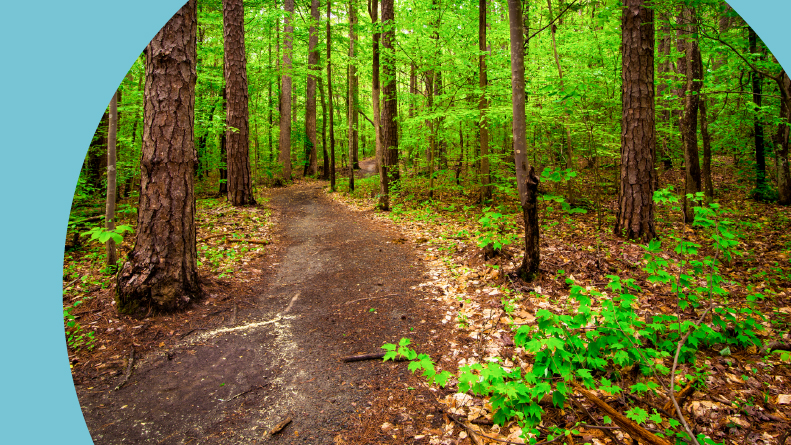 A hiking trail through a spring forest in South Carolina.