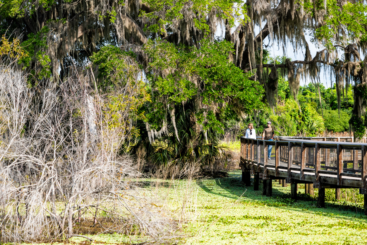 Is Gainesville, Florida a Good Place To Retire?