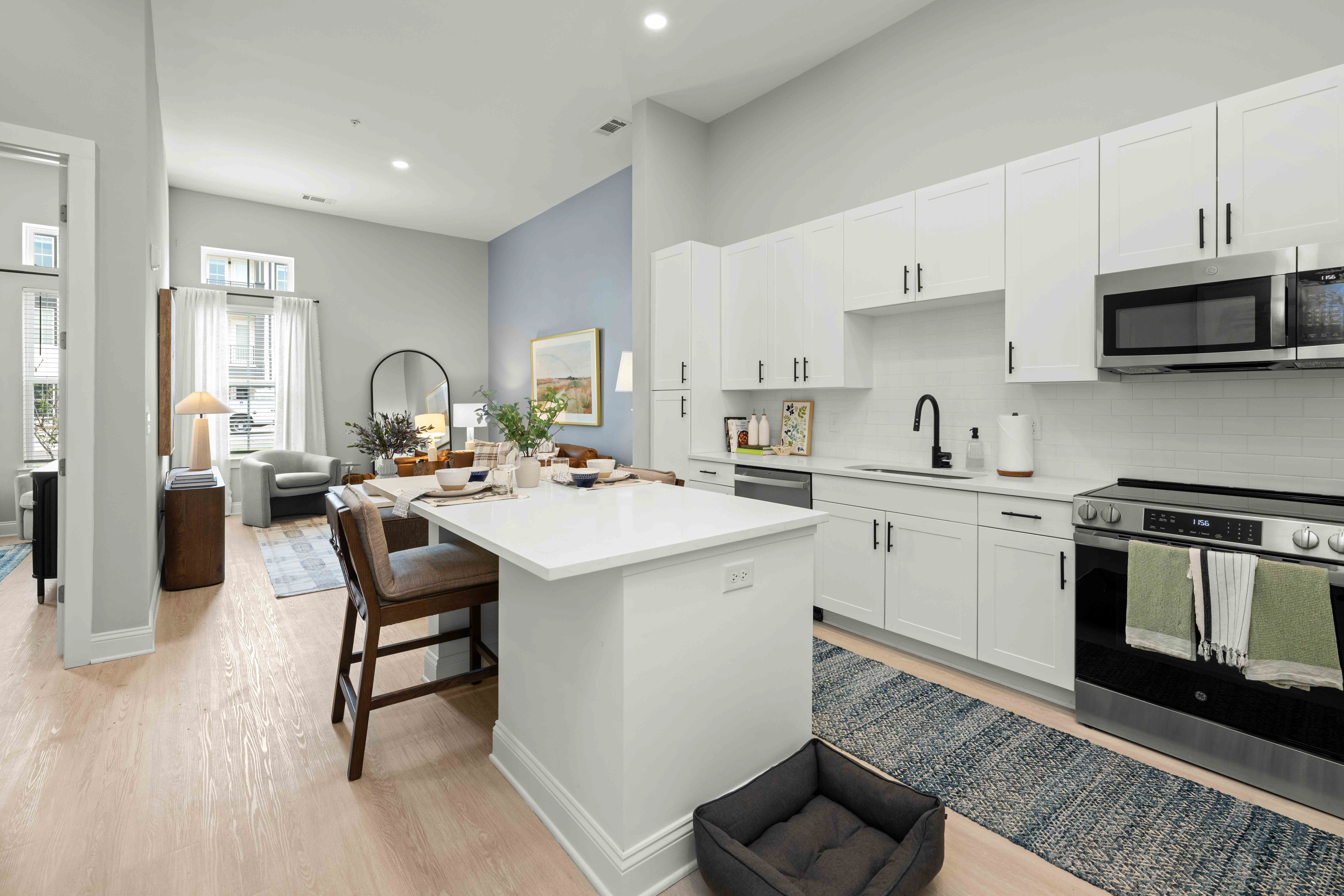 Apartment Unit Kitchen