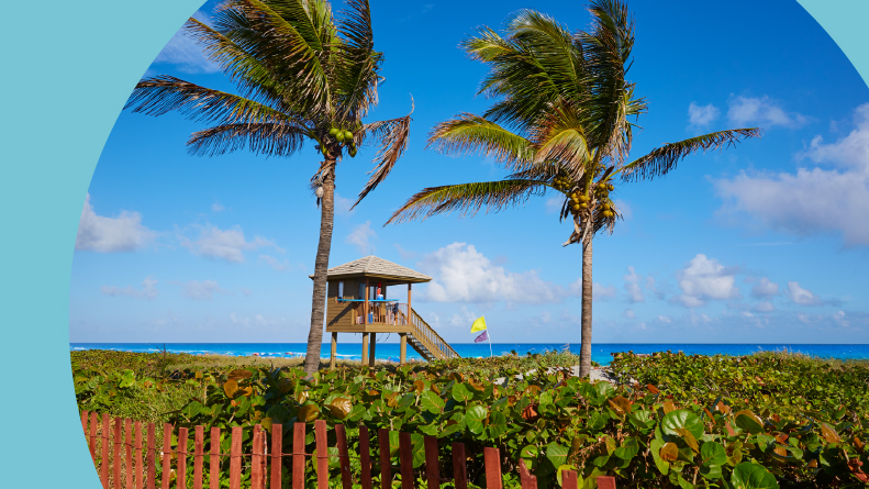 Palm trees beside a lifeguard tower in Delray Beach, Florida.
