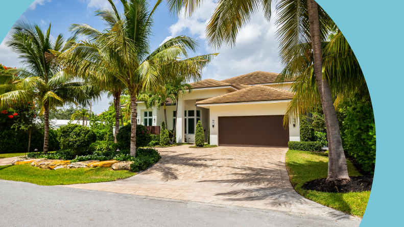 Palm trees beside a house in Coral Ridge in Miami, Florida.
