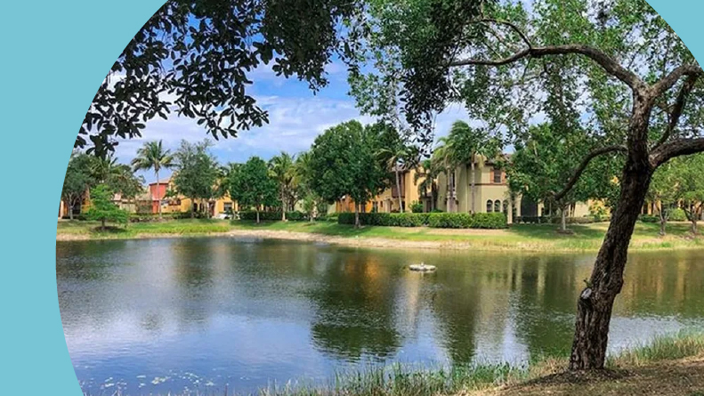 A pond on the grounds of Paseo.