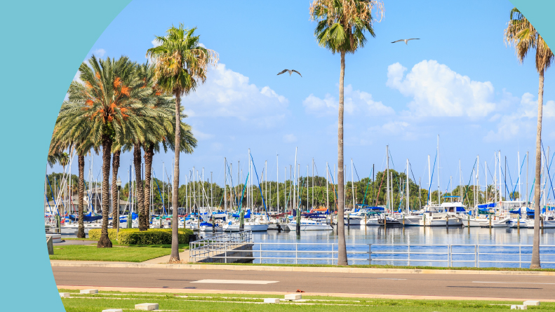 Yachts and seagulls in St. Petersburg, Florida, on a sunny day.