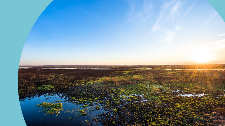 Sunset over Paynes Prairie Preserve State Park in Gainesville, Florida.