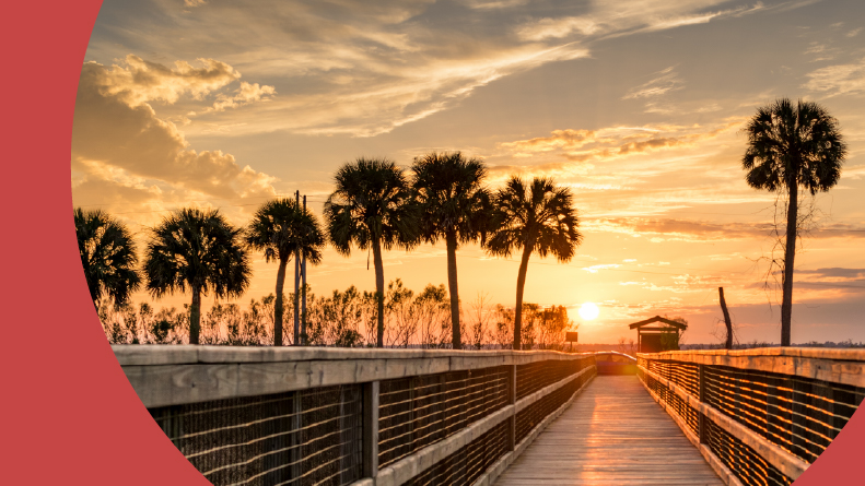 Palm trees beside a boardwalk at Paynes Prairie Preserve State Park in Gainesville, Florida.