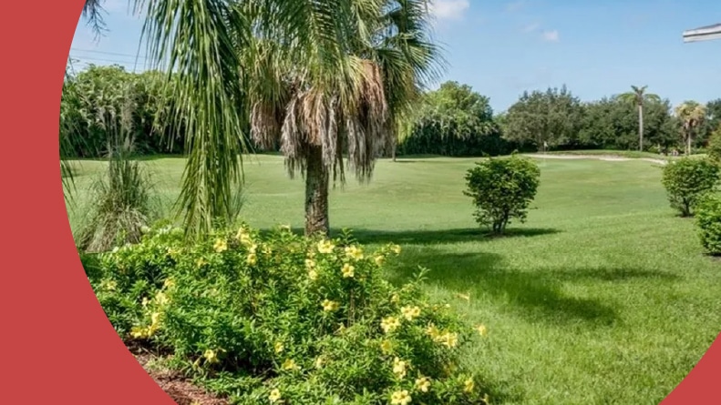 Greenery on the golf course at Carousel Cove at Bonita Fairways in Bonita Springs, Florida.