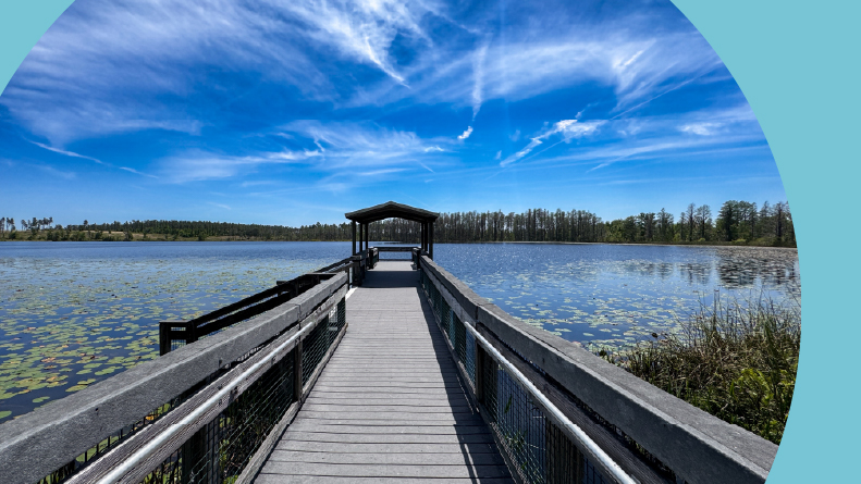 The pier at Lake Louisa State Park in Clermont, Florida.