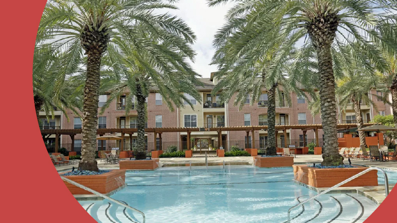 Palm tree surrounding the outdoor pool at Elate Royal Oaks in Houston, Texas.