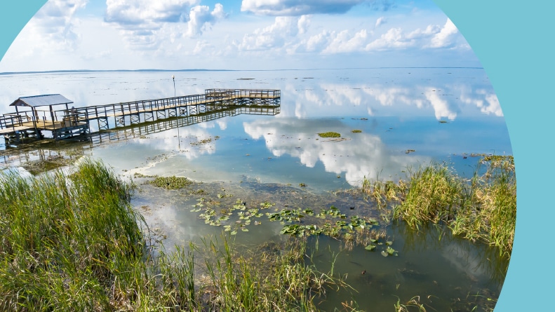 Lake Apopka with clouds and a blue sky at Winter Garden, Florida.