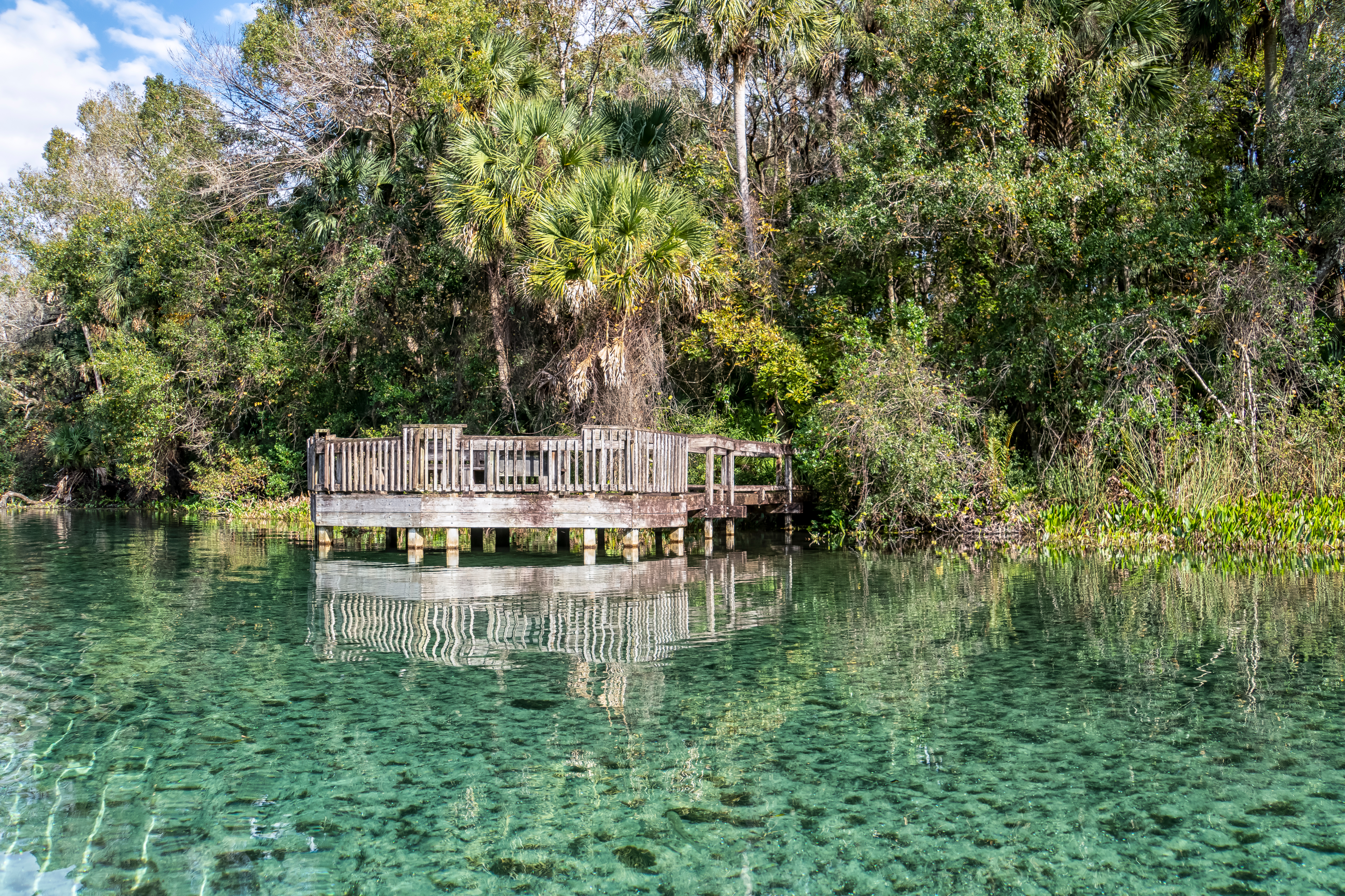 A viewing platform over the water at Florida Natural Springs.