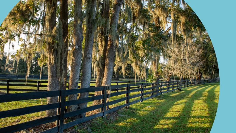 View of a corral, a fence, and trees on a sunny fall day in Ocala, Florida.