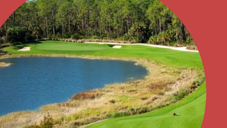 A pond on the golf course at Treviso Bay in Naples, Florida.