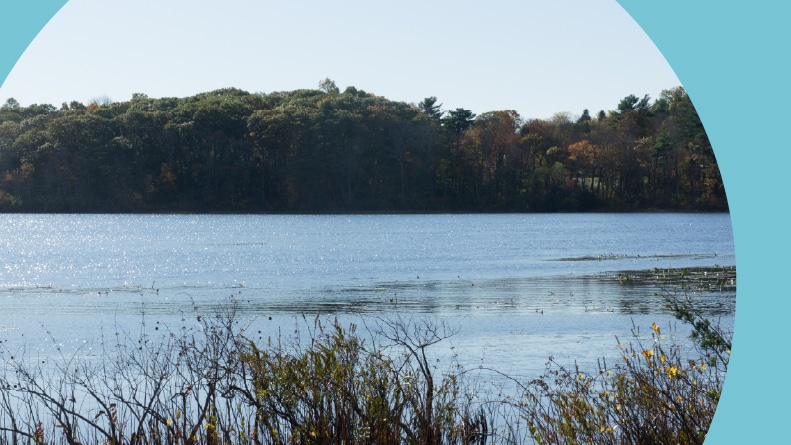 Ponkapoag Pond in Canton, Massachusetts.