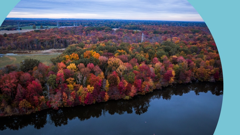 Aerial view of autumn foliage at sunrise in Mercer, New Jersey.
