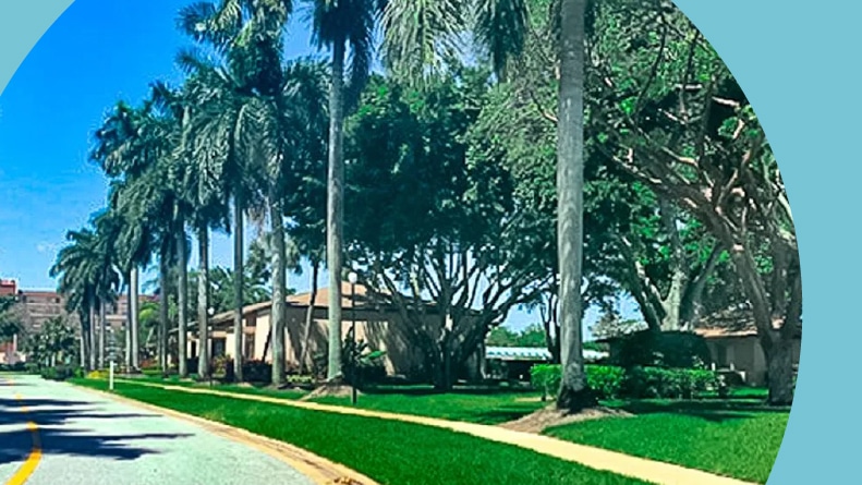 Palm trees lining a residential street at Villages of Oriole in Delray Beach, Florida.