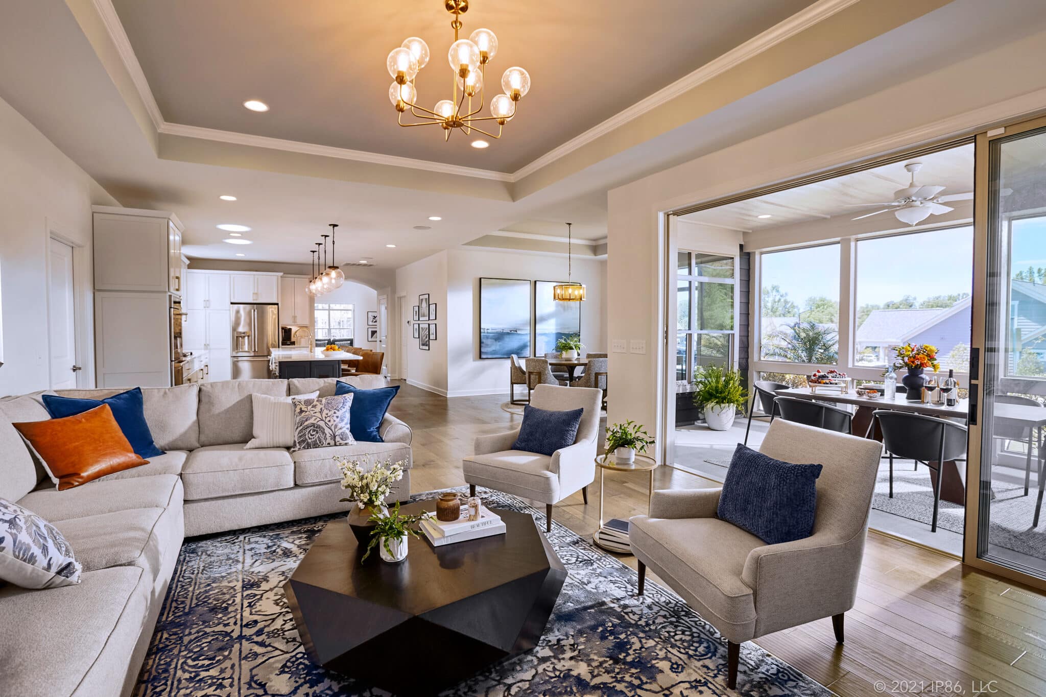 Living Room and Patio