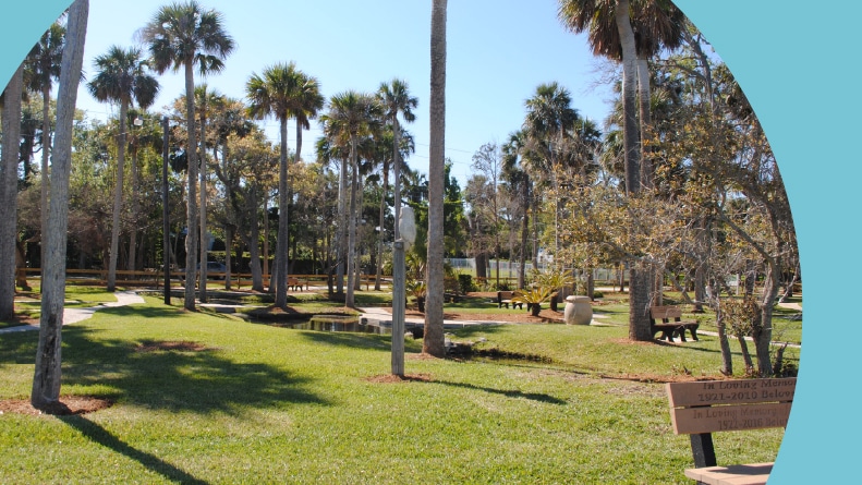 Palm trees in Rockefeller Park in Ormond Beach, Florida.