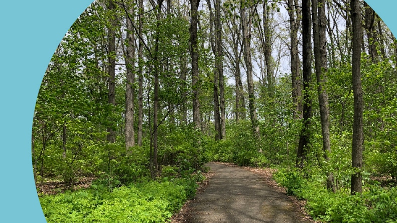 Walking/bike trails during summer in a park in Plainfield, Indiana.