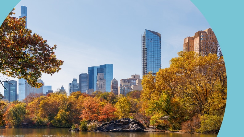 Central Park in New York City on a sunny autumn day with vibrant fall foliage and a clear blue sky.