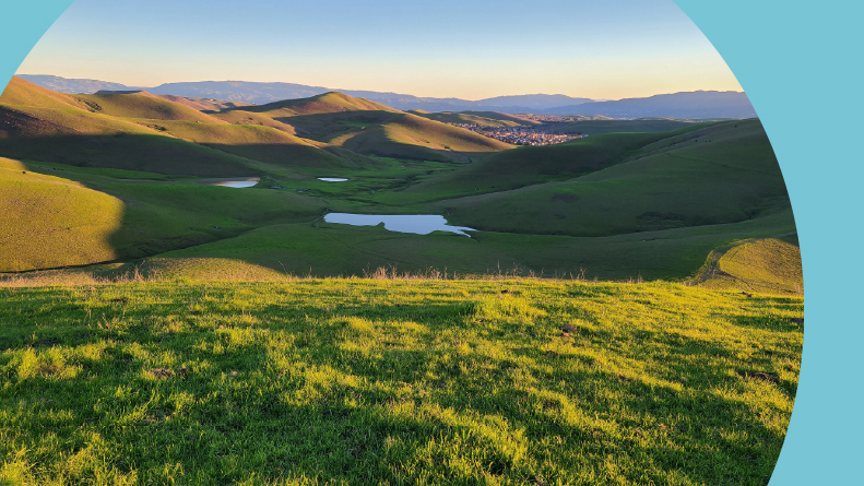 Lush green hills in Northern California dotted with lakes.