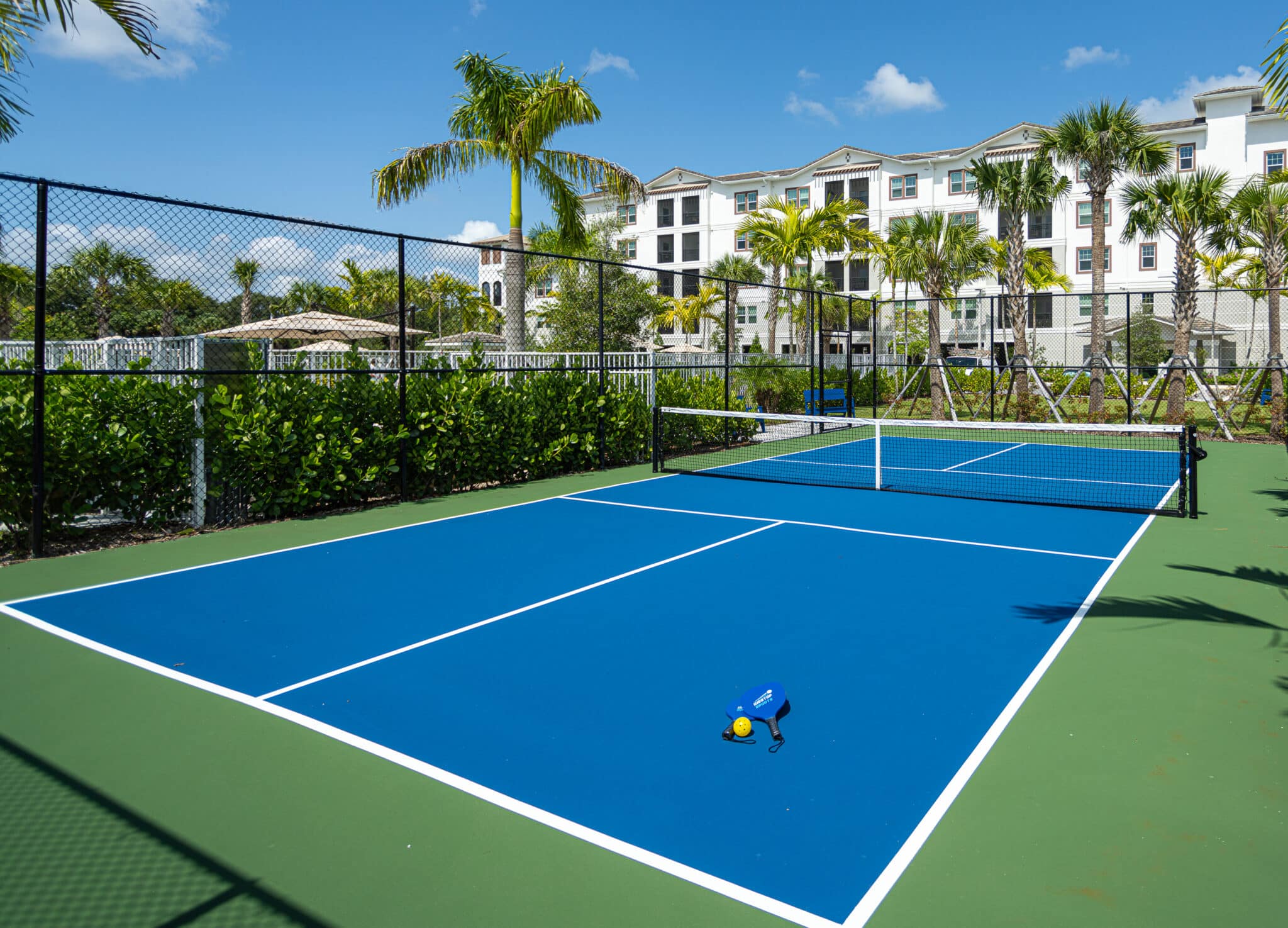 Pickleball Court