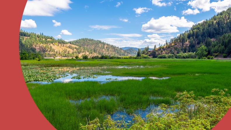 The mountains, hills, and wetlands at Wolf Lodge Bay, along the shores of Lake Coeur d'Alene at summer.