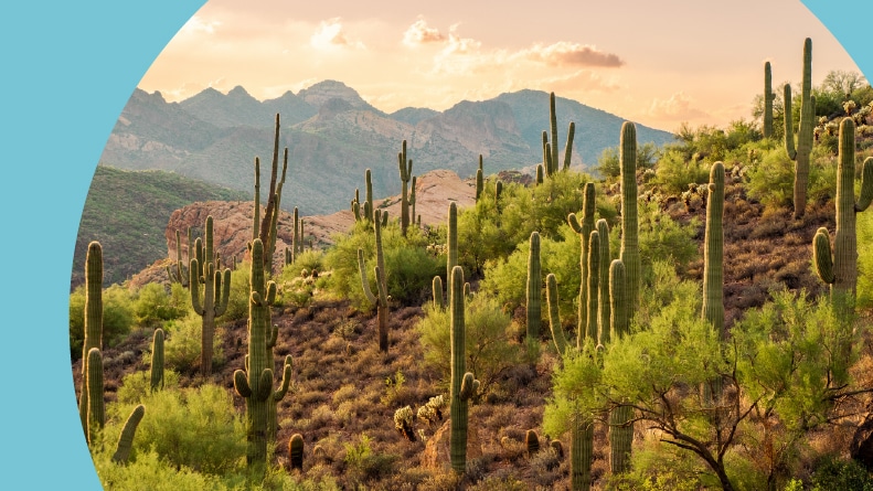 Sunset at Bulldog Canyon in the Sonoran Desert in Tonto National Forest.