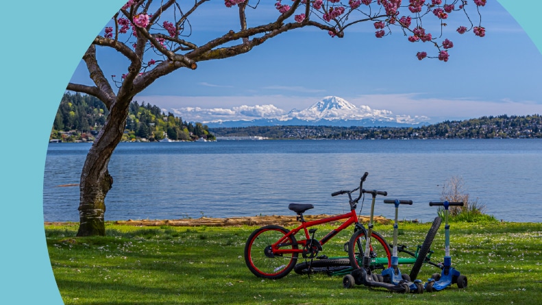 Cherry blossoms in full bloom at Sweard Park with Mount Rainier in the background.