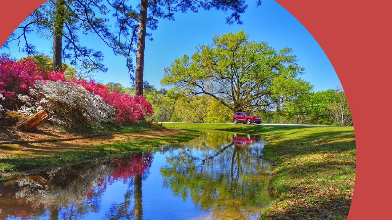 Spring in Callaway Gardens in Georgia.