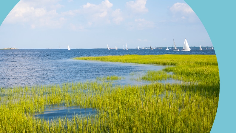 Sailboats crossing the blue waters of the tidal Cooper River with green Lowcountry marsh grasses in Charleston, South Carolina.