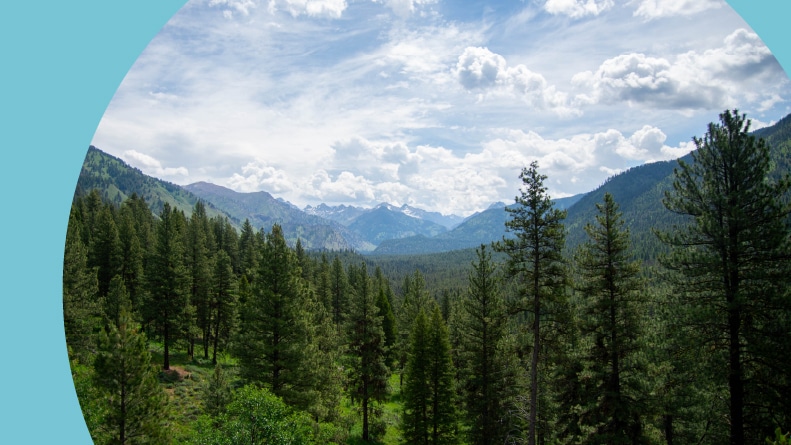 Overlook of a valley in the Boise National Forest.