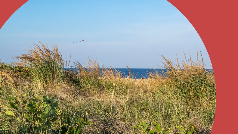 A view through the plant life of the sand dunes in Long Branch along the Jersey shore.