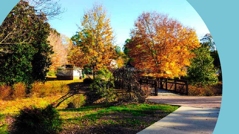 A beautiful fall morning strolling through a city park in Newnan, Georgia.